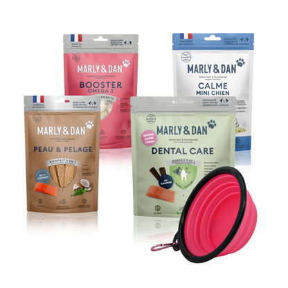 Lot 4 friandises Marly & Dan petit chien + gamelle offerte