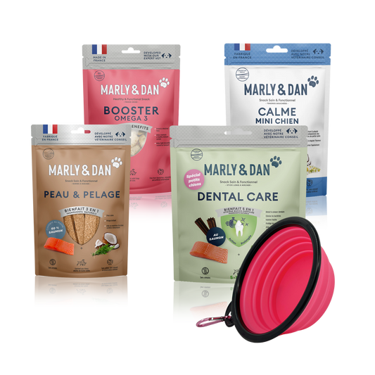 Lot 4 friandises Marly & Dan petit chien + gamelle offerte