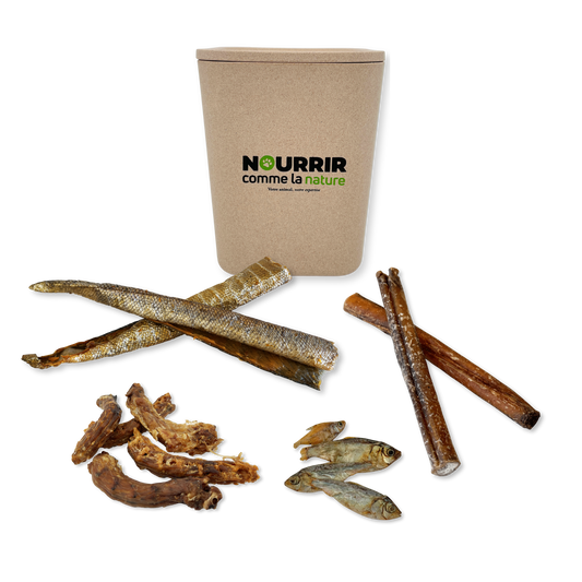 Lot friandises naturelles mixte + boîte hermétique OFFERTE