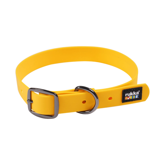 Collar de neopreno