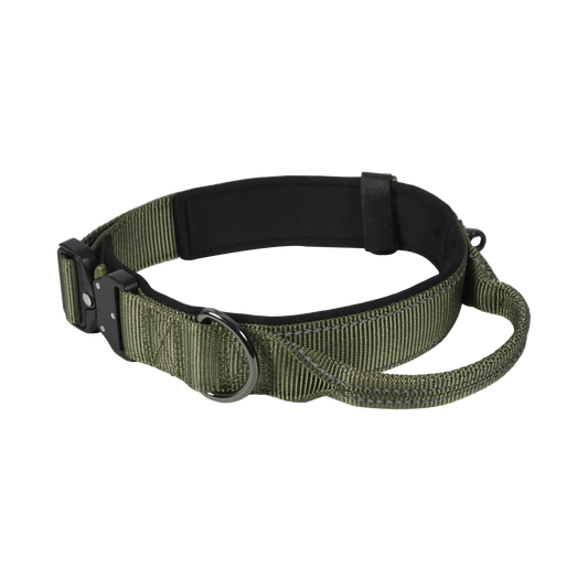 Collier avec poignée