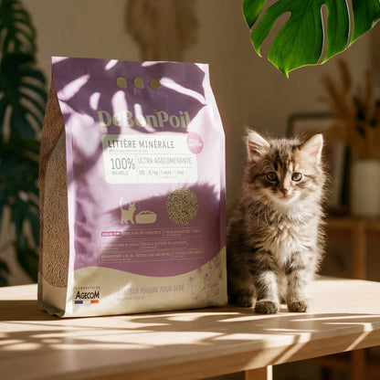 Litière minérale spéciale chaton