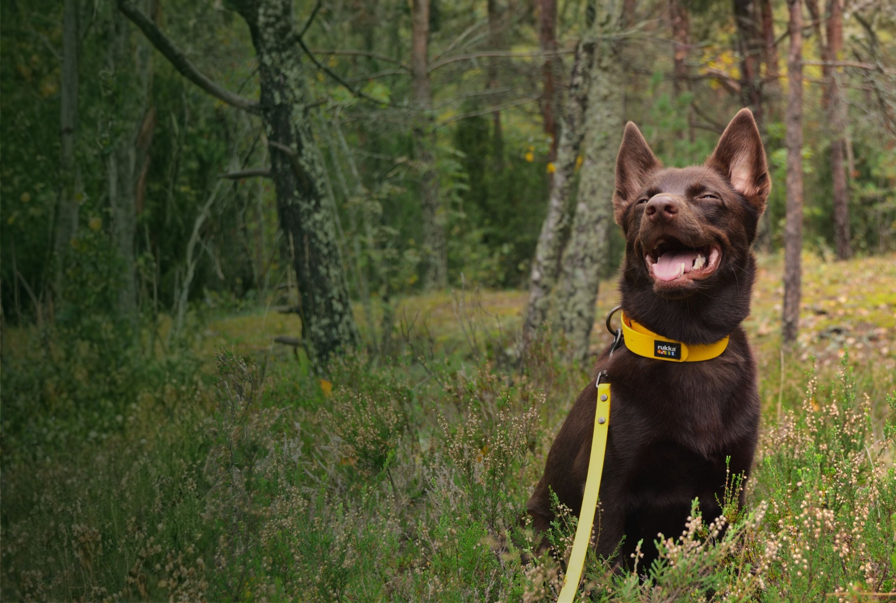 Prêts pour de nouvelles aventures ?