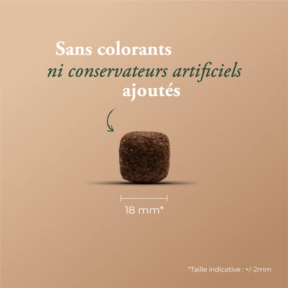 ESSENTIAL EXTRA LAMB