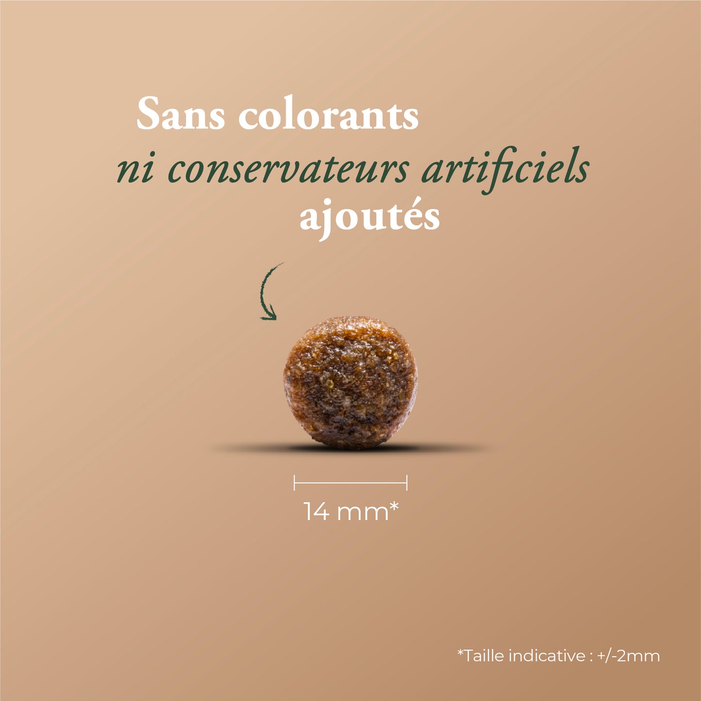 ESSENTIAL STERILIZED