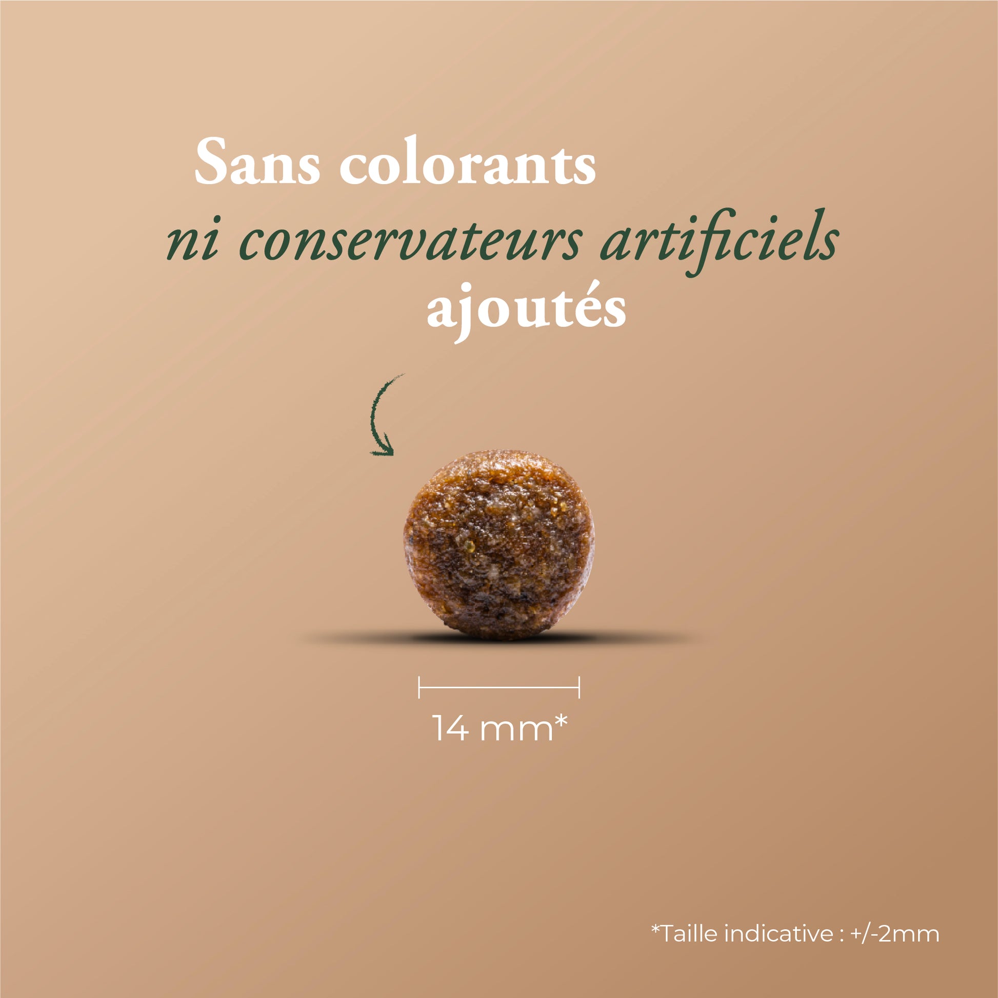 ESSENTIAL STERILIZED