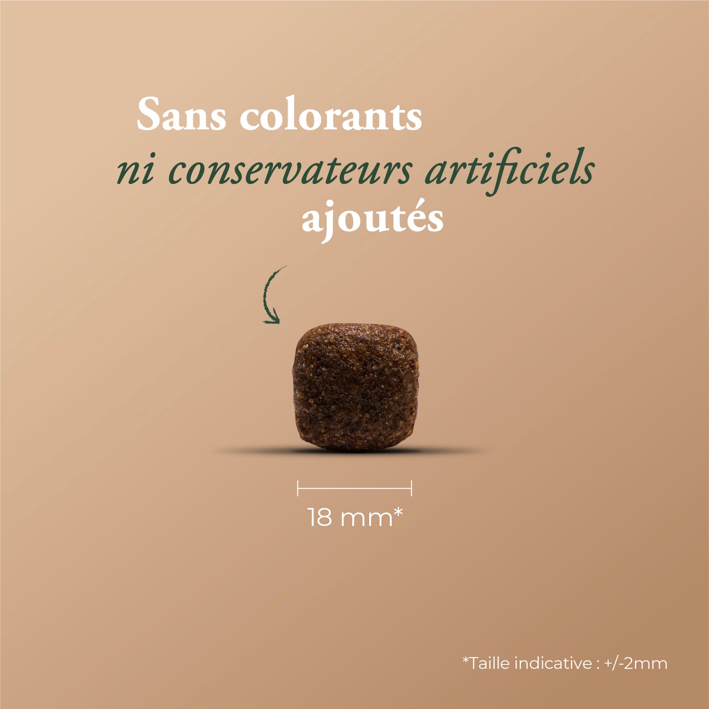 ESSENTIAL EXTRA SALMON