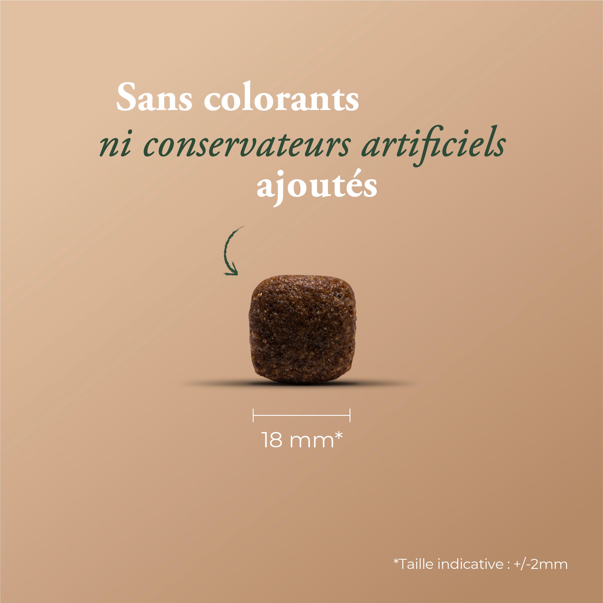 ESSENTIAL EXTRA SALMON