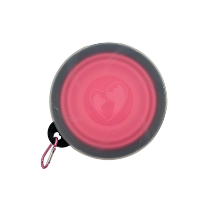 Faltbarer Silikannapf mit Deckel