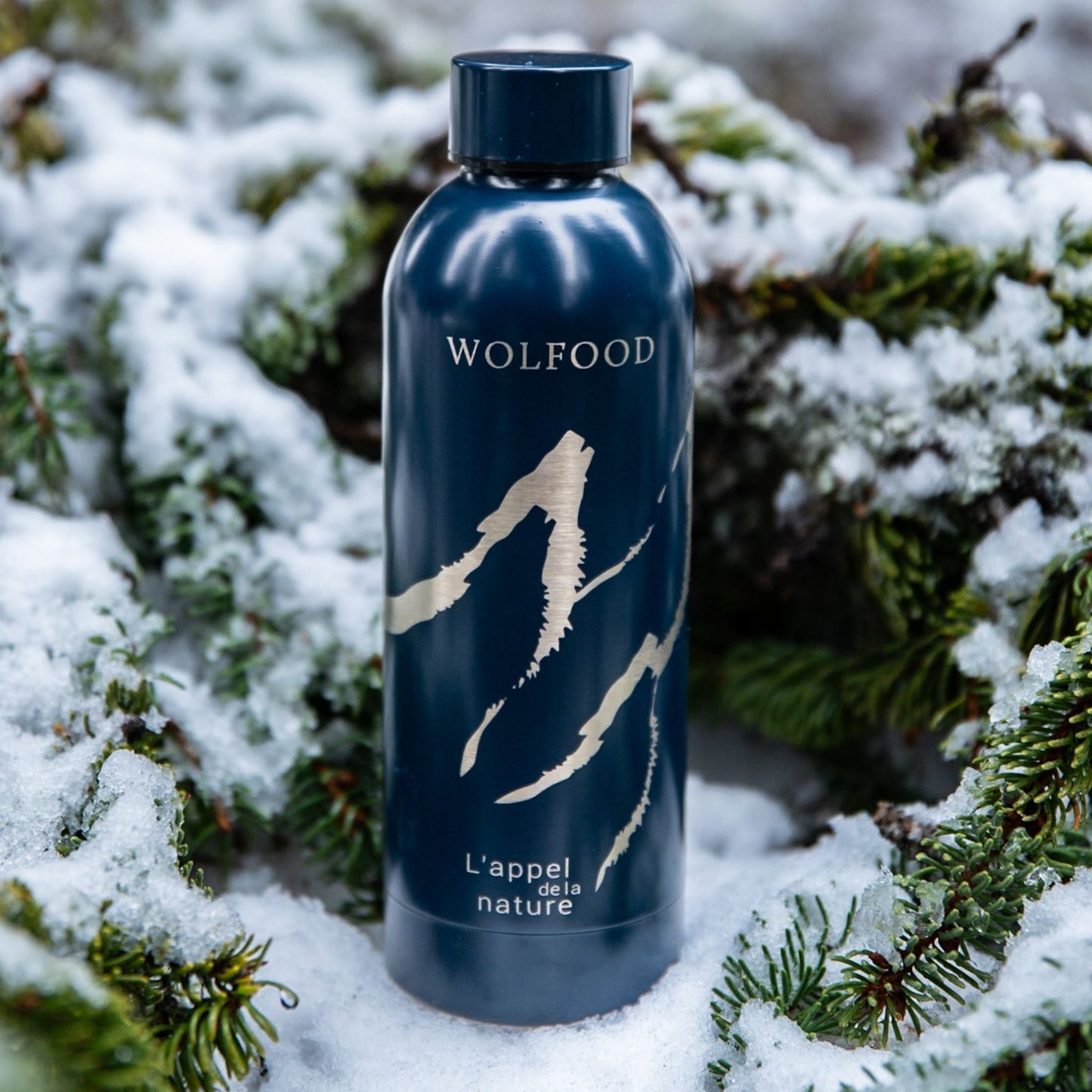 Gourde Wolfood