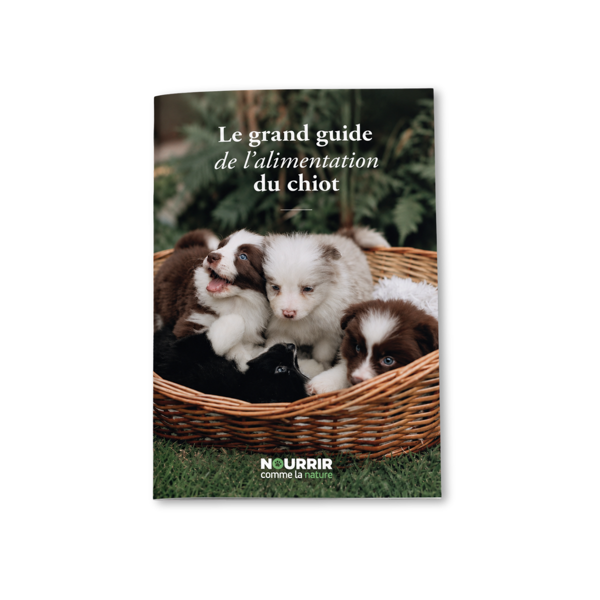Guide l'alimentation du chiot