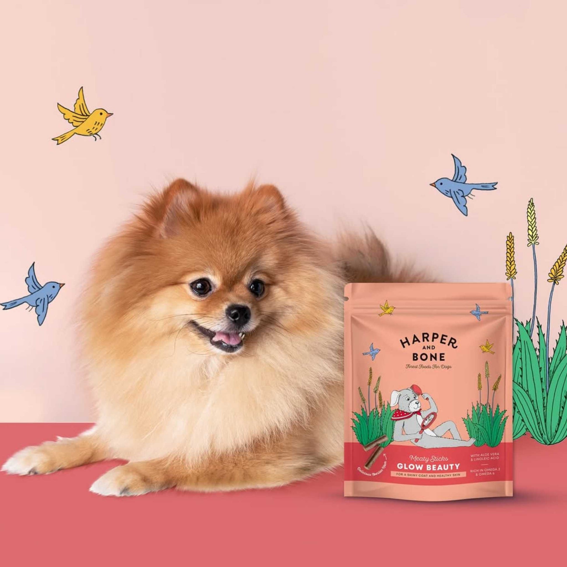 MEATY STICKS GLOW BEAUTY