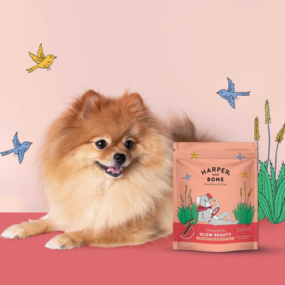 MEATY STICKS GLOW BEAUTY