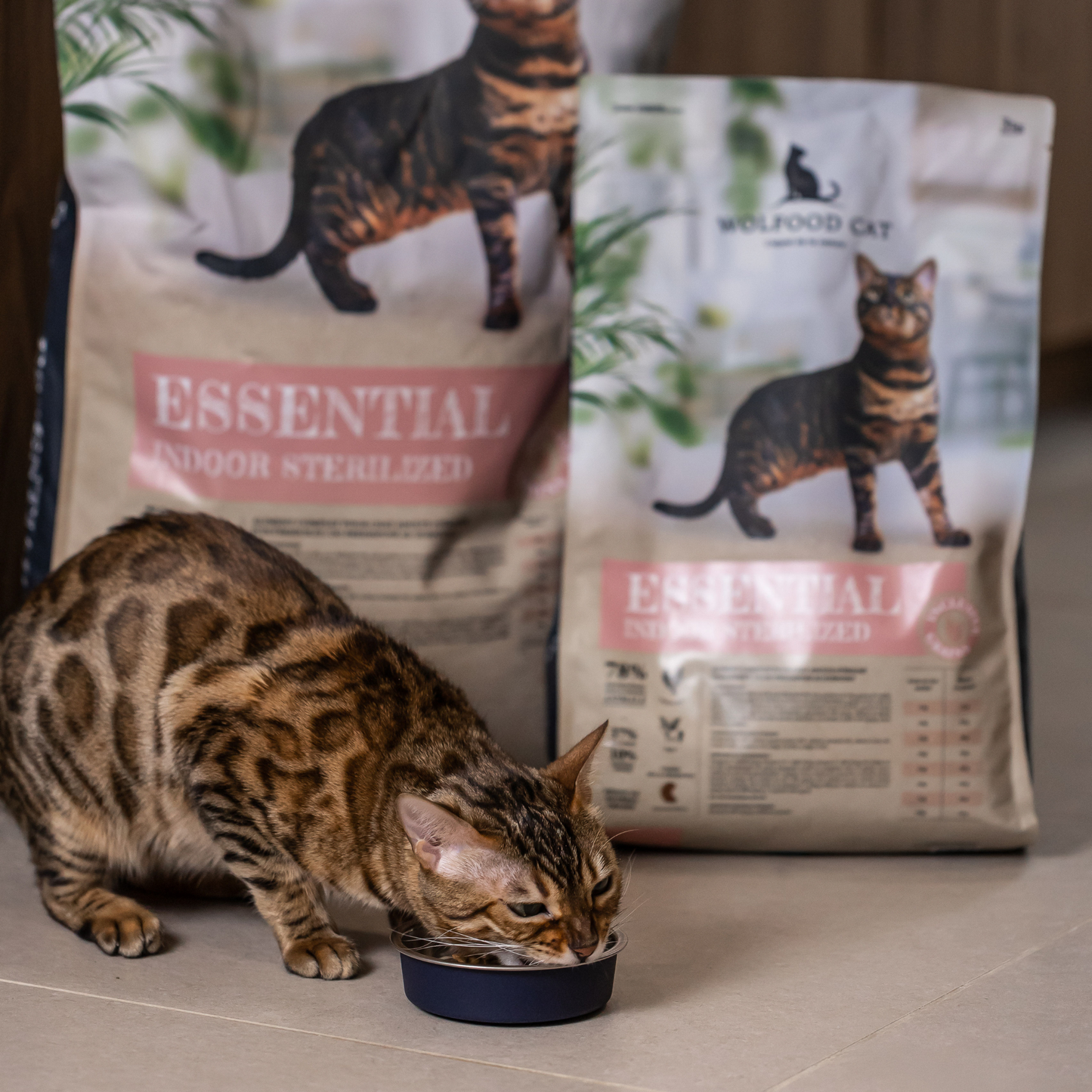 ESSENTIAL INDOOR STERILISED