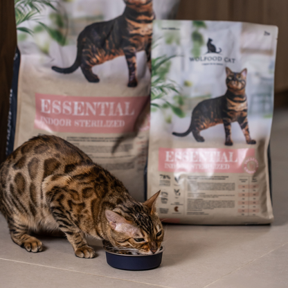 ESSENTIAL INDOOR STERILISED