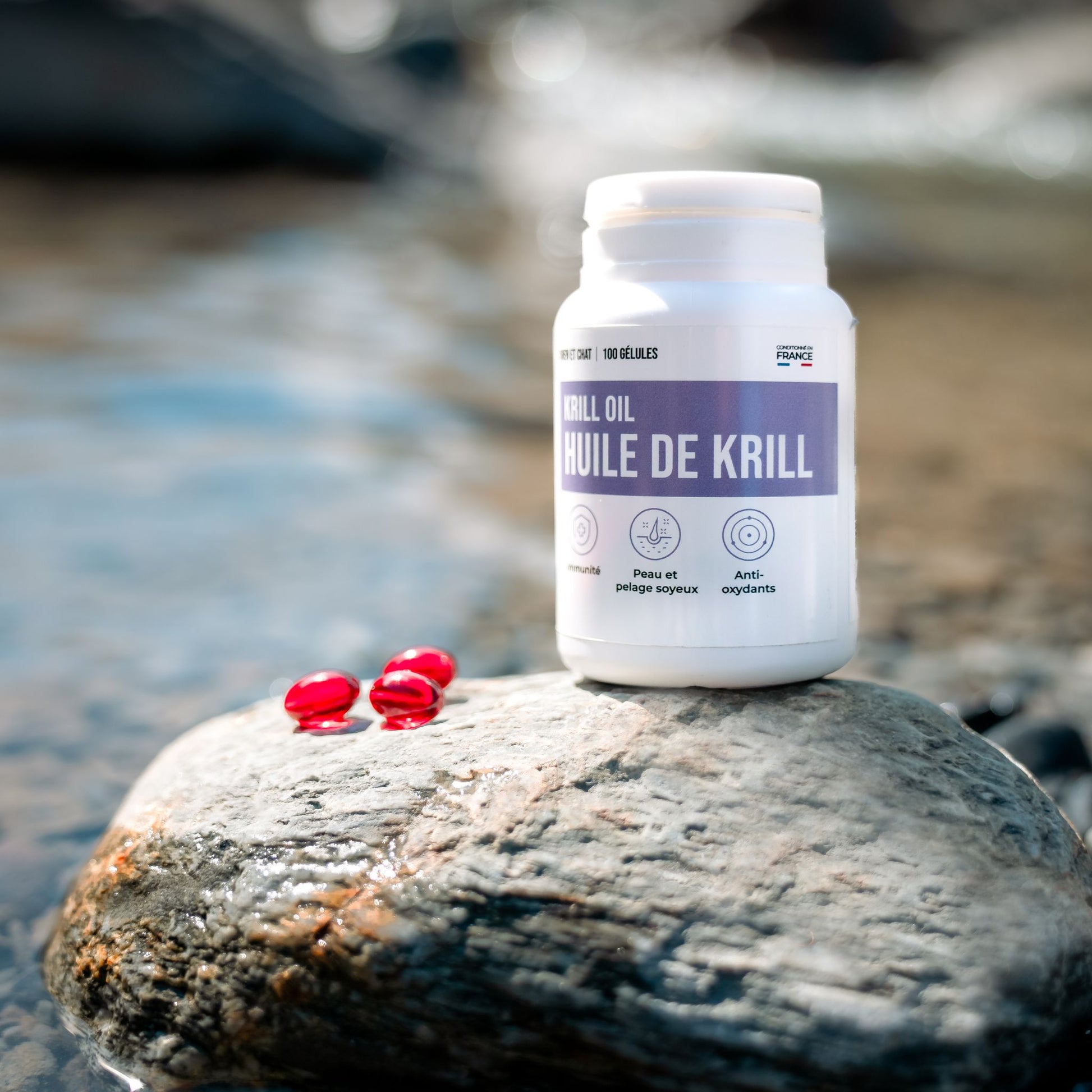 HUILE DE KRILL