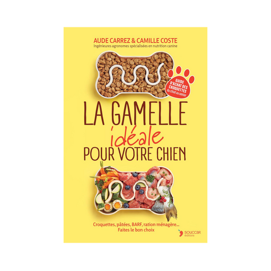 La gamelle idéale pour votre chien