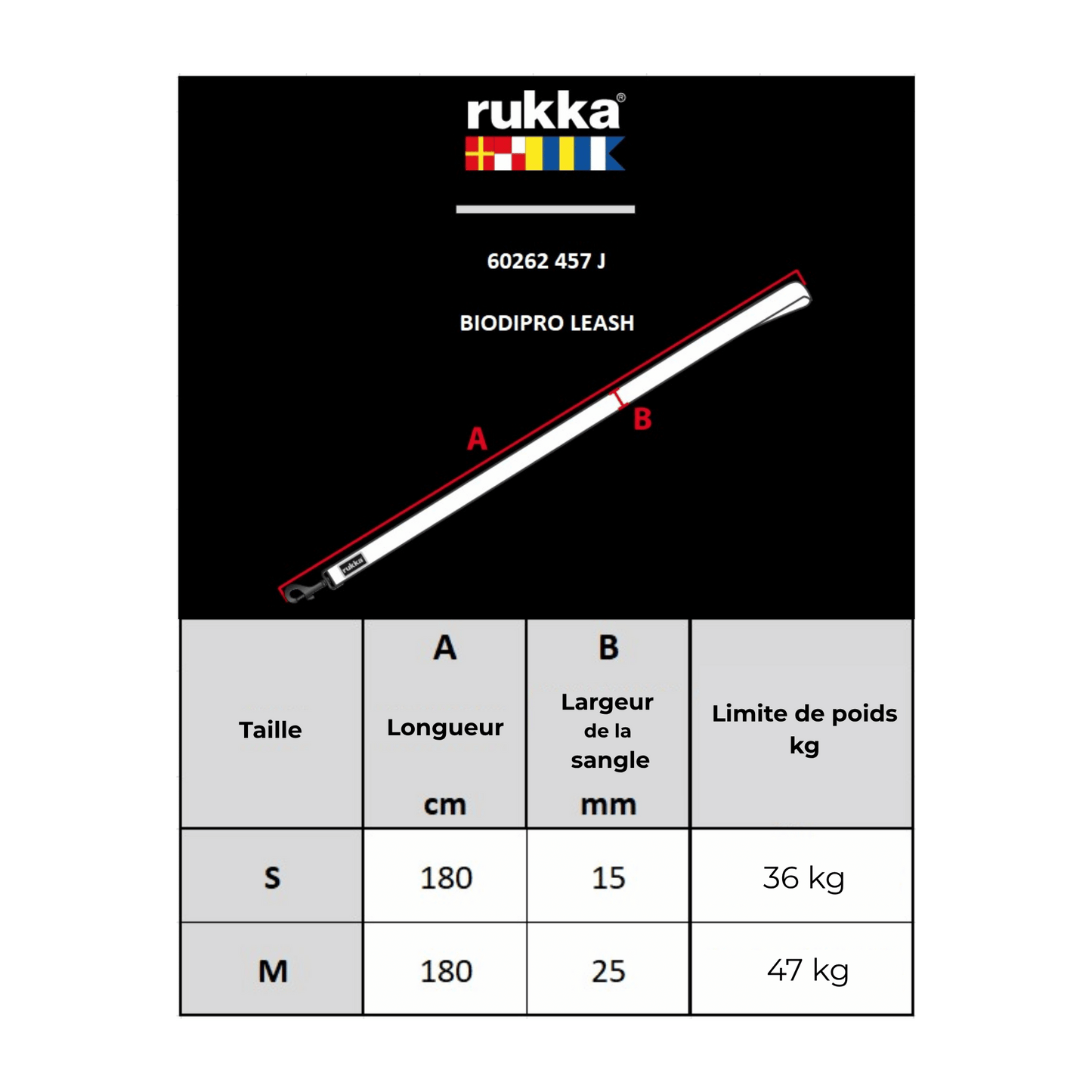 Collar y correa de neopreno