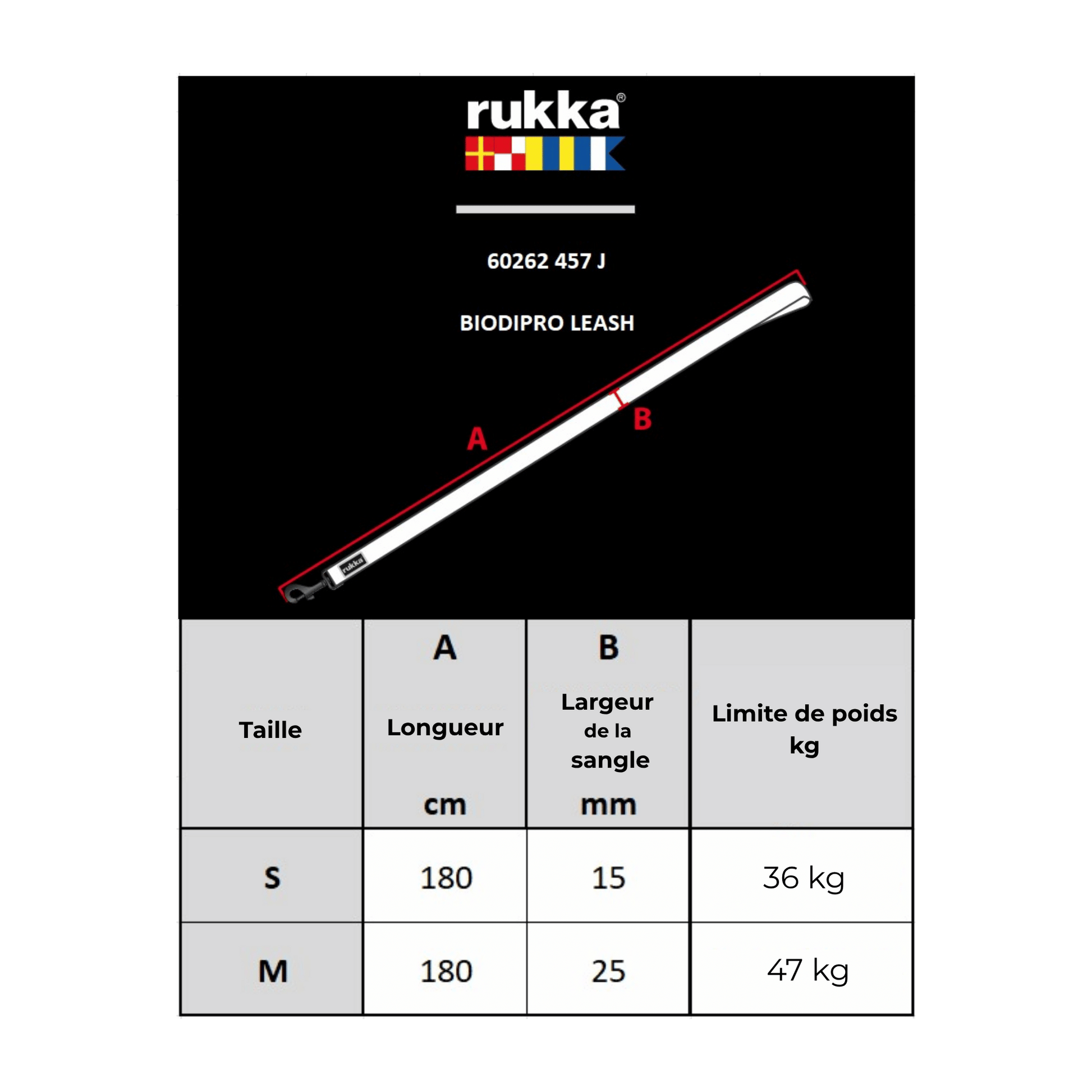 Collar y correa de neopreno