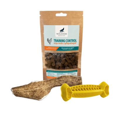 Routine friandises pour chiots