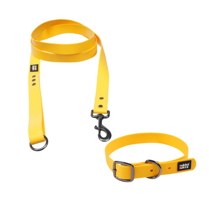 Collar y correa de neopreno