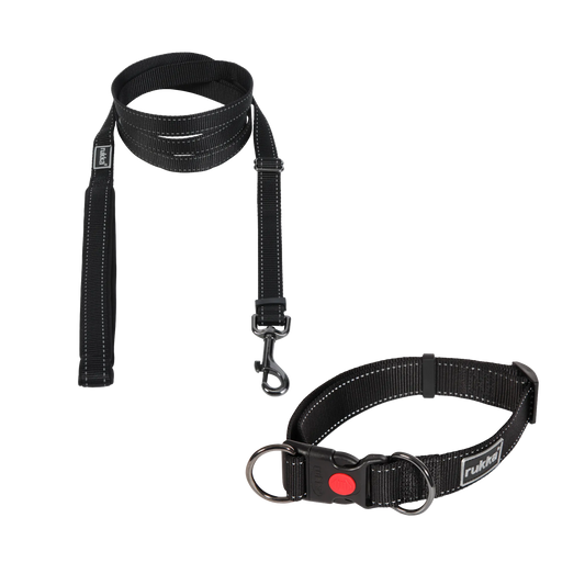 Schwarzes Halsband + Leine