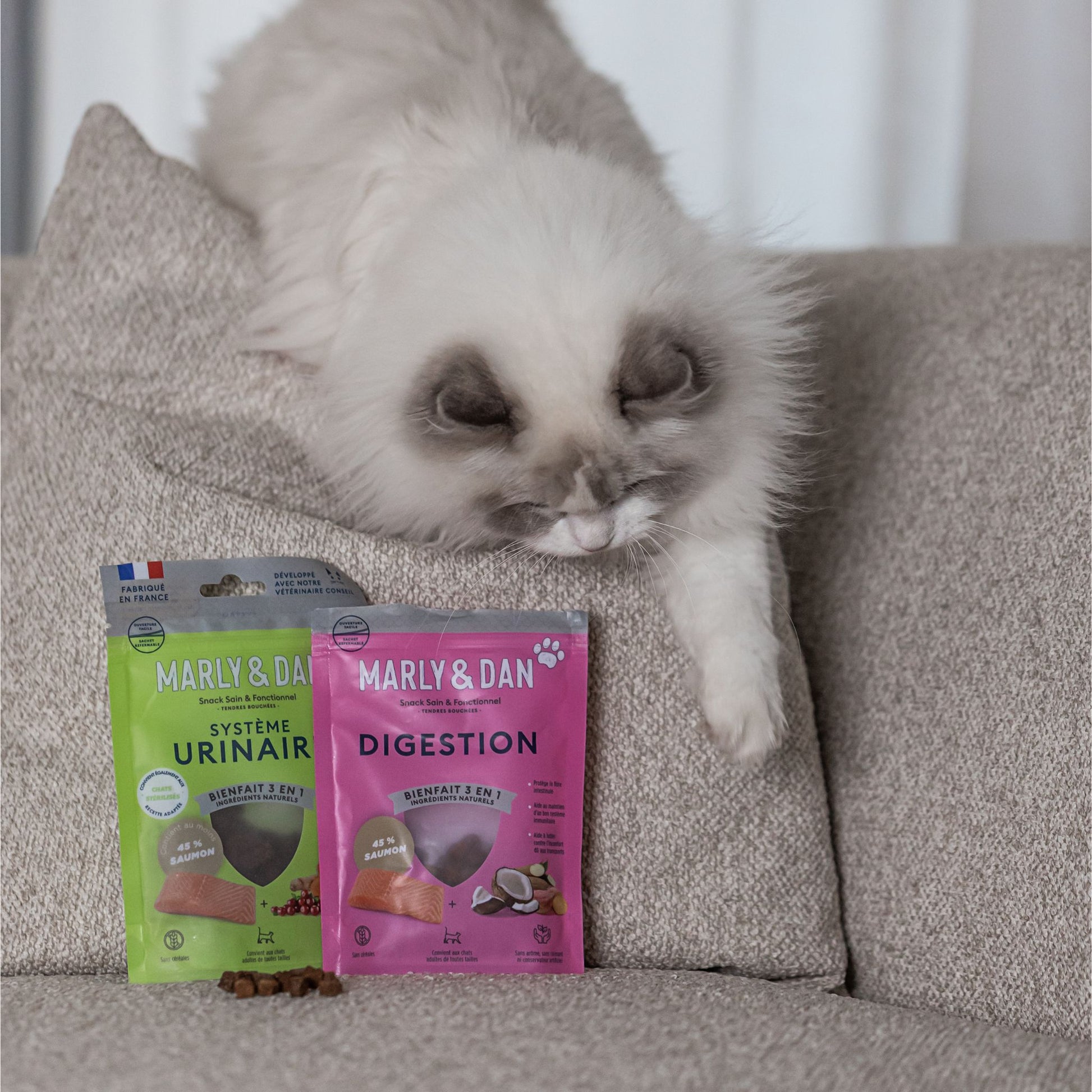 DIGESTION CHAT