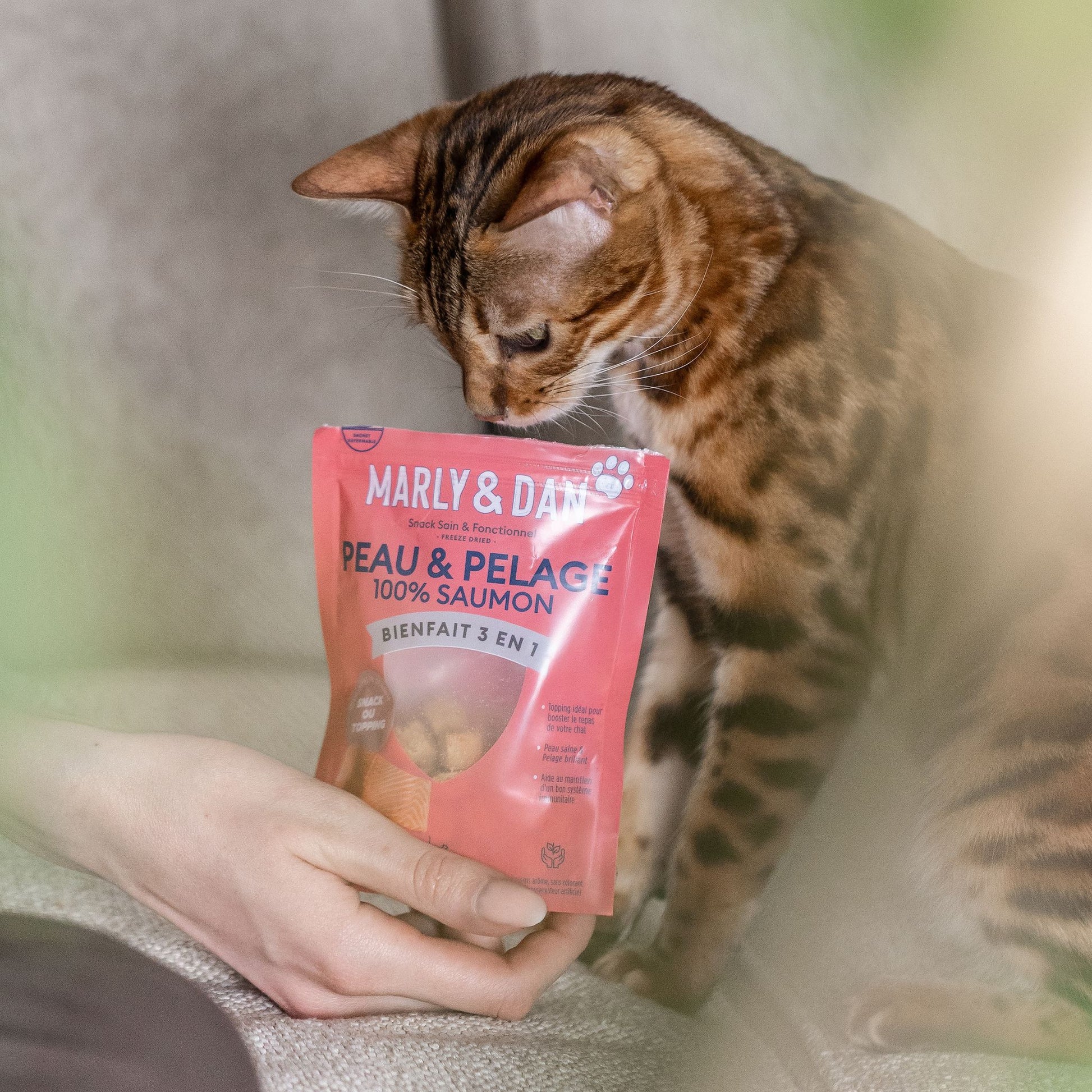 PEAU & PELAGE 100% SAUMON CHAT