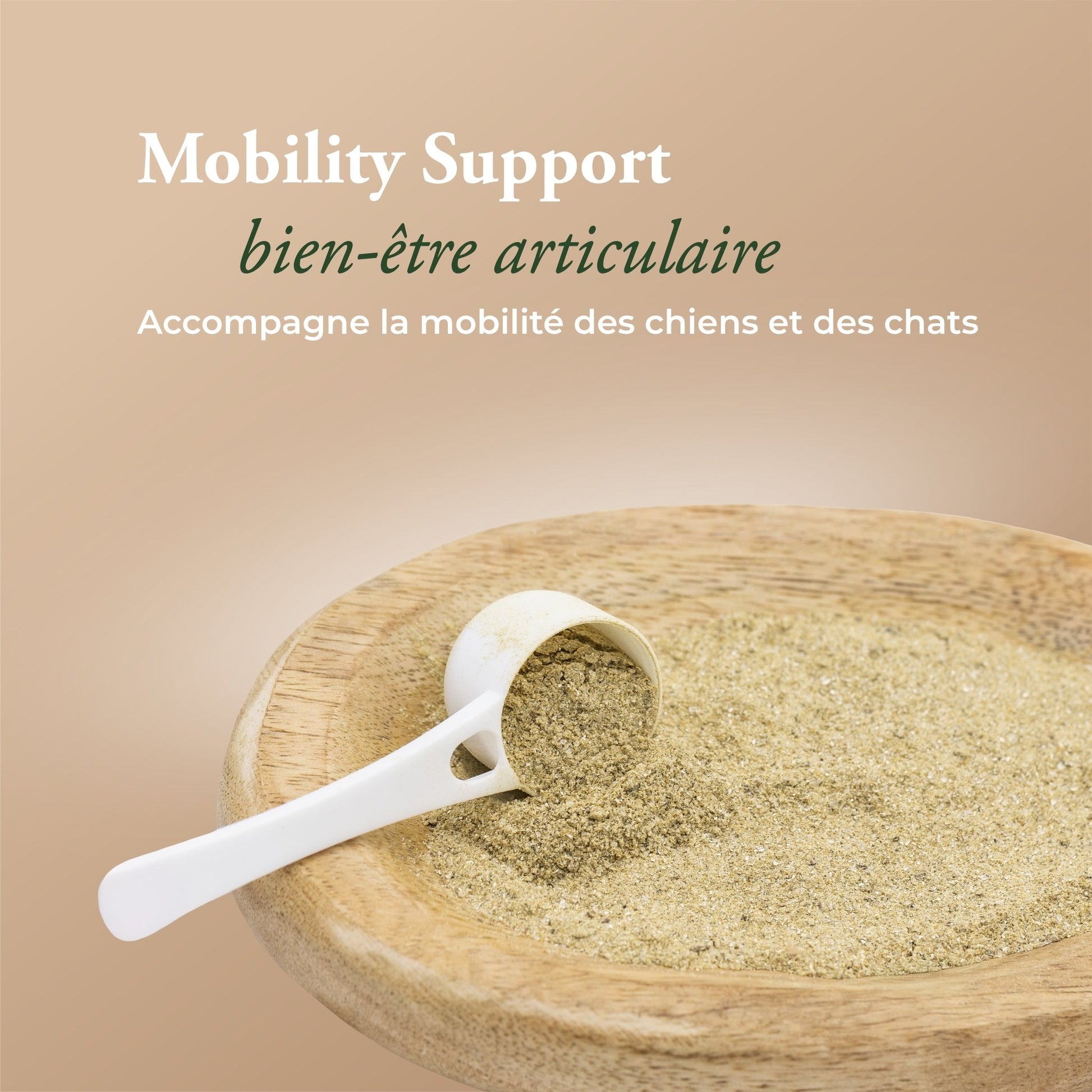 MOBILITY SUPPORT