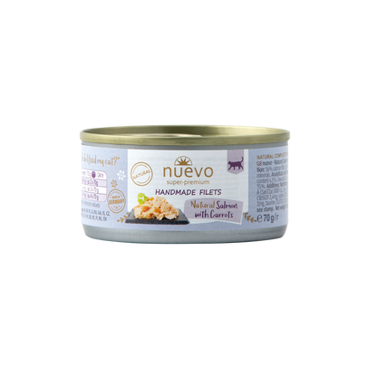 Filet de saumon et carotte