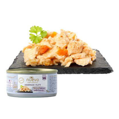 Filet de saumon et carotte