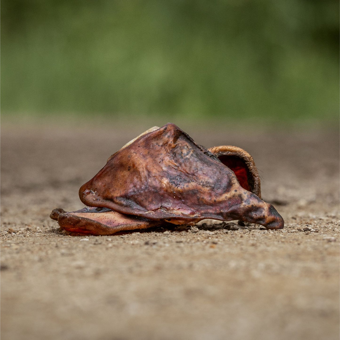 OREJAS DE CERDO