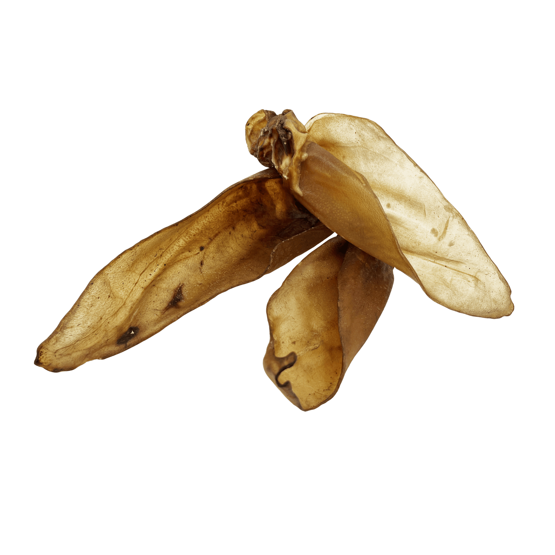 Oreilles de bœuf séchées