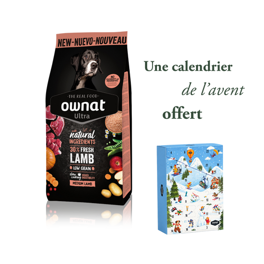 Ultra Medium Lamb 12 kg + calendrier de l'avent offert