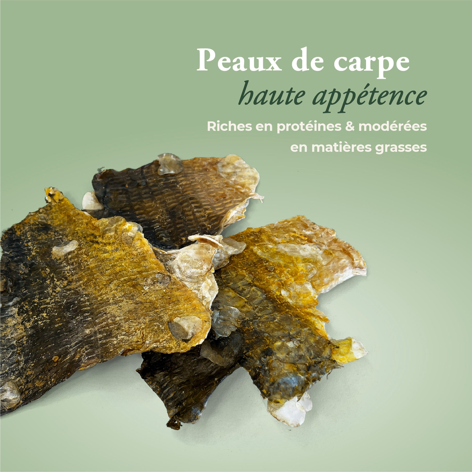 Peaux de carpe