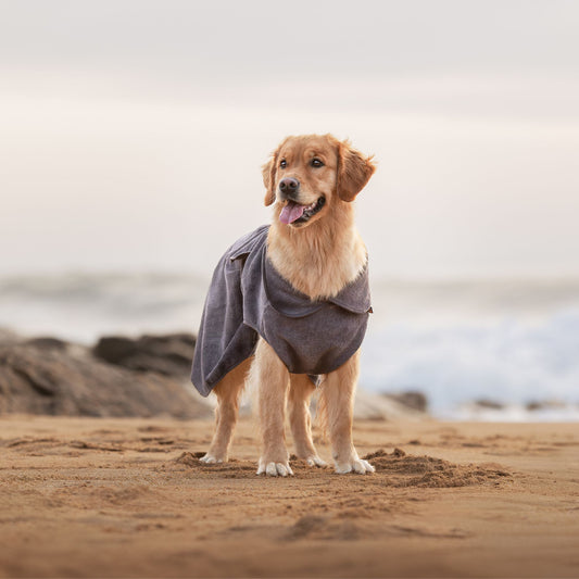 PEIGNOIR ABSORBANT MICROFIBRE