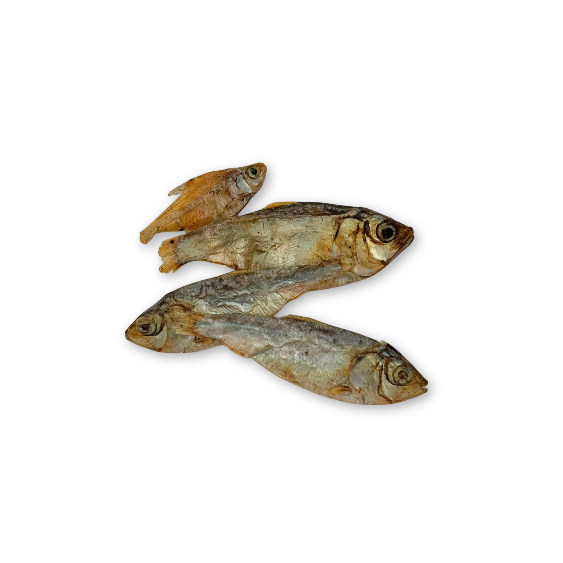 Petits poissons séchés