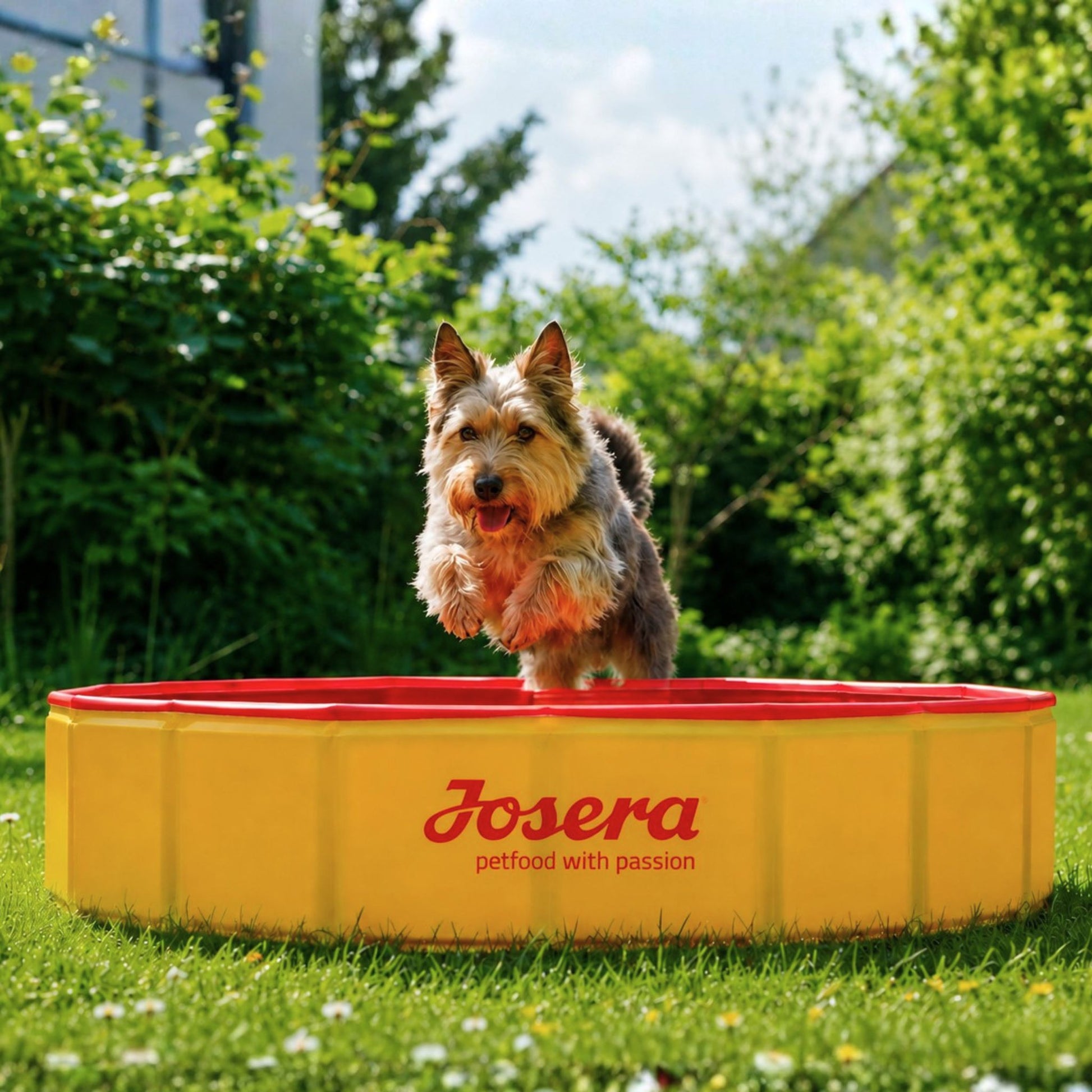Lot 2 sacs Optiness 12,5 kg + 1 piscine offerte