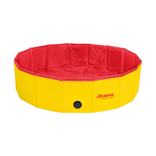 Piscine pour chien