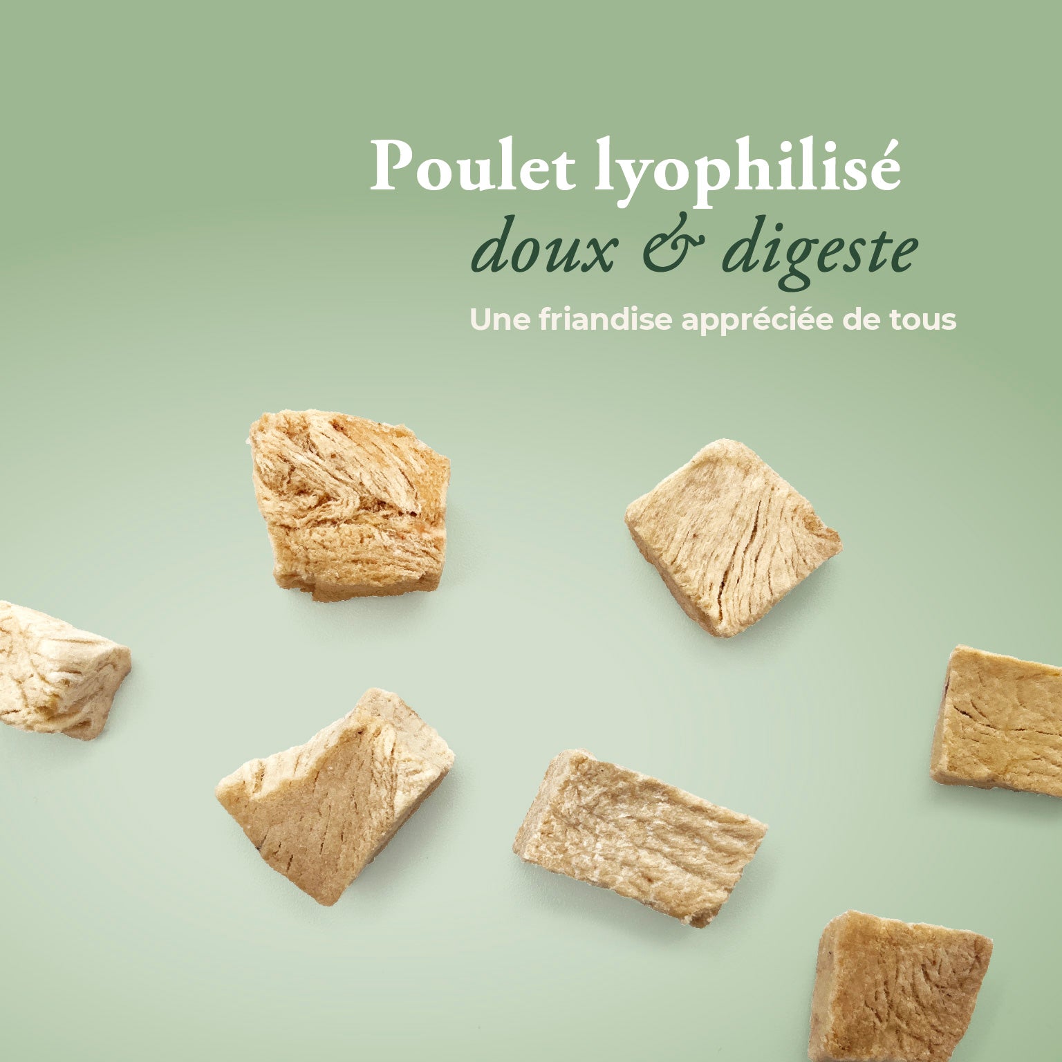 Poulet lyophilisé