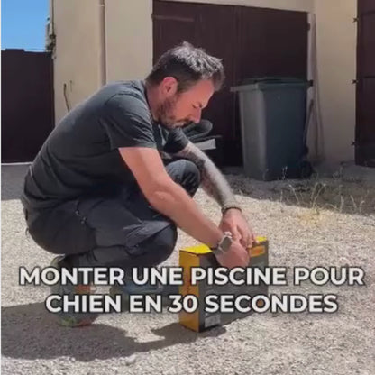Piscine pour chien