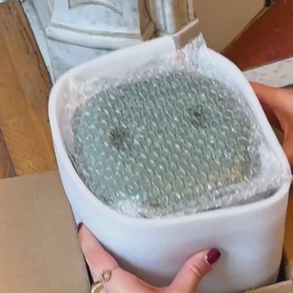 Distributeur de croquettes automatique