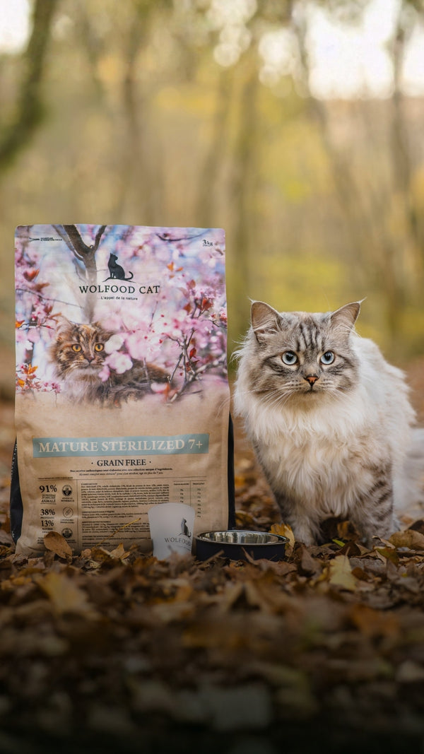 Recette pour chat sénior stérilisé