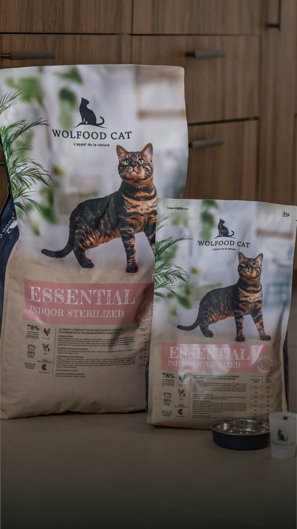 -10% : Recette pour chat d'intérieur stérilisé