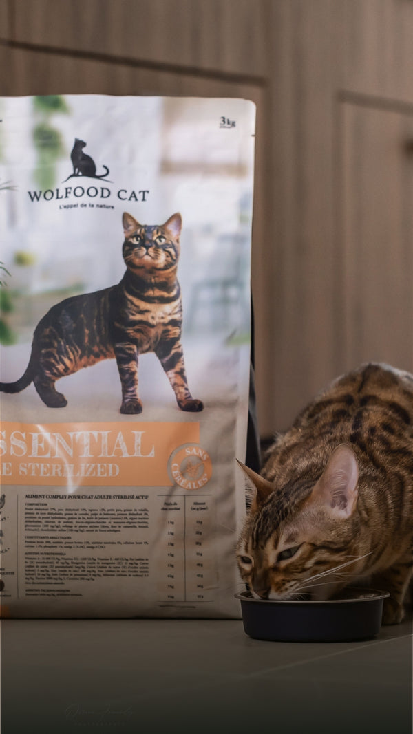- 10% : Recette pour chats stérilisés actifs