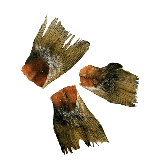Forellenschwänze