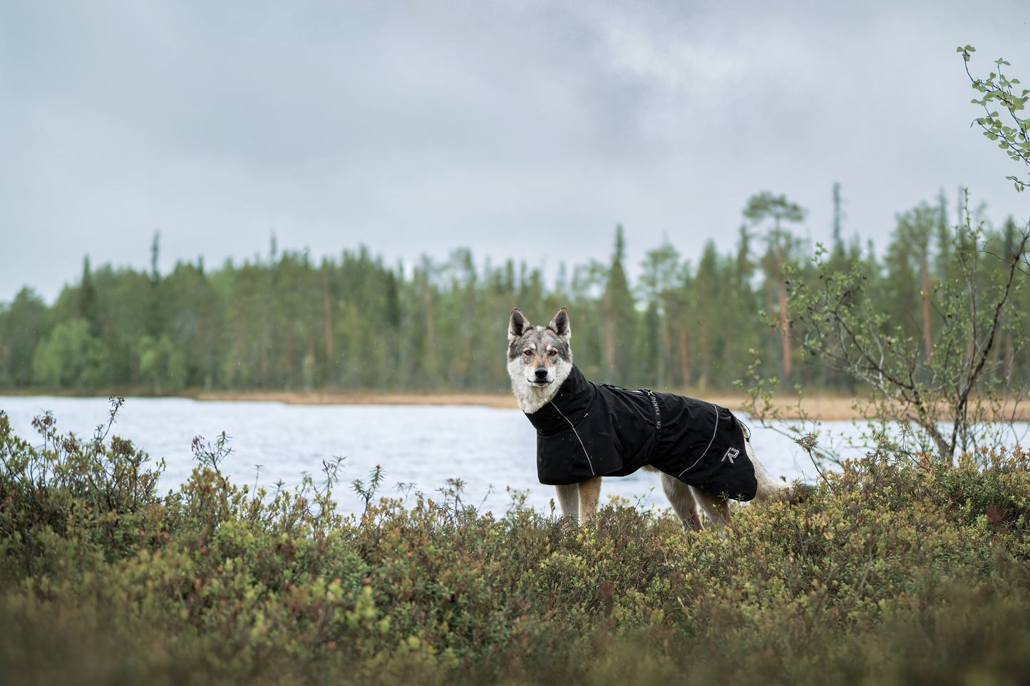 MANTEAU HAYTON X RAINCOAT