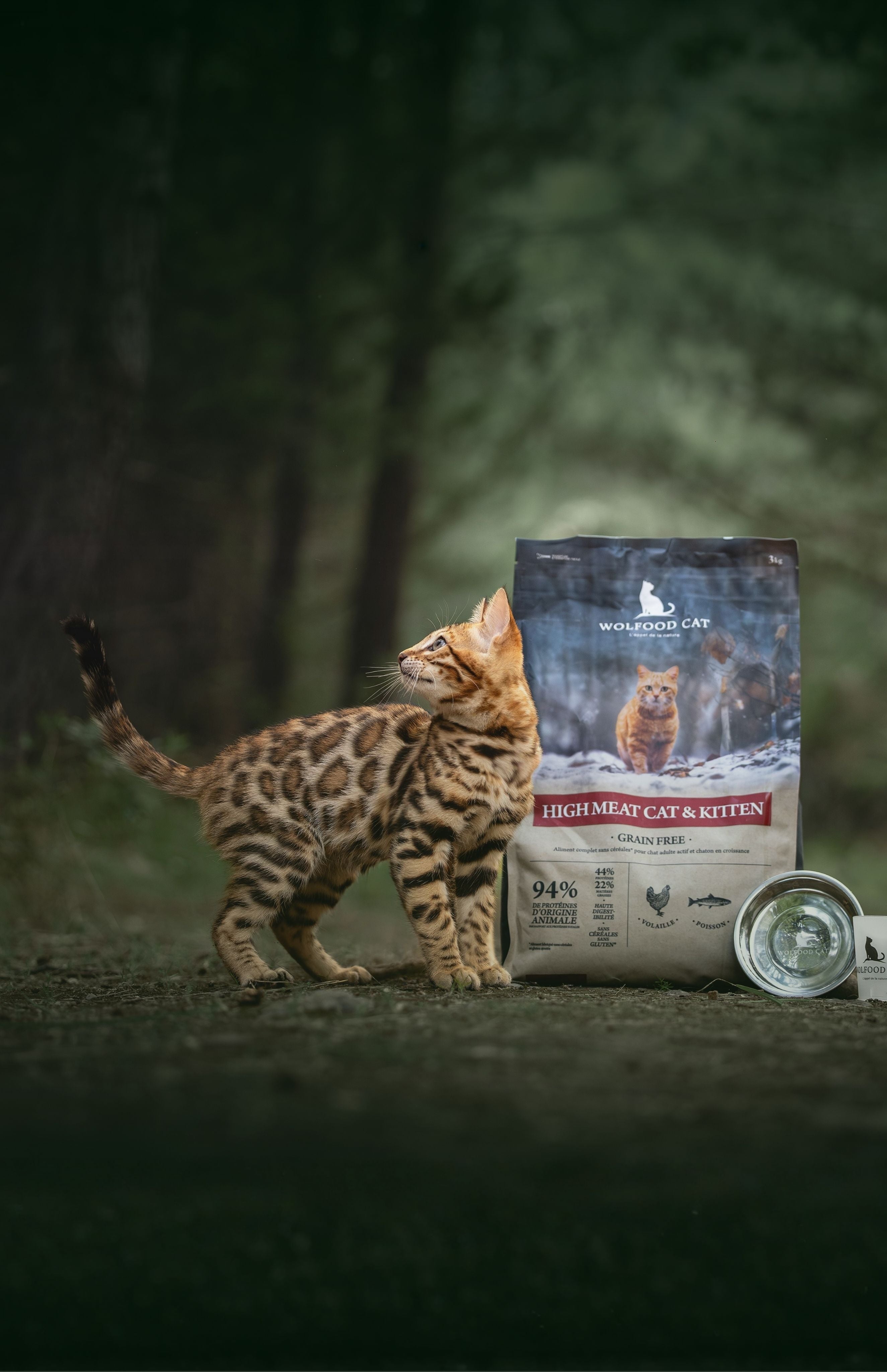L'exigence, aussi pour votre chat