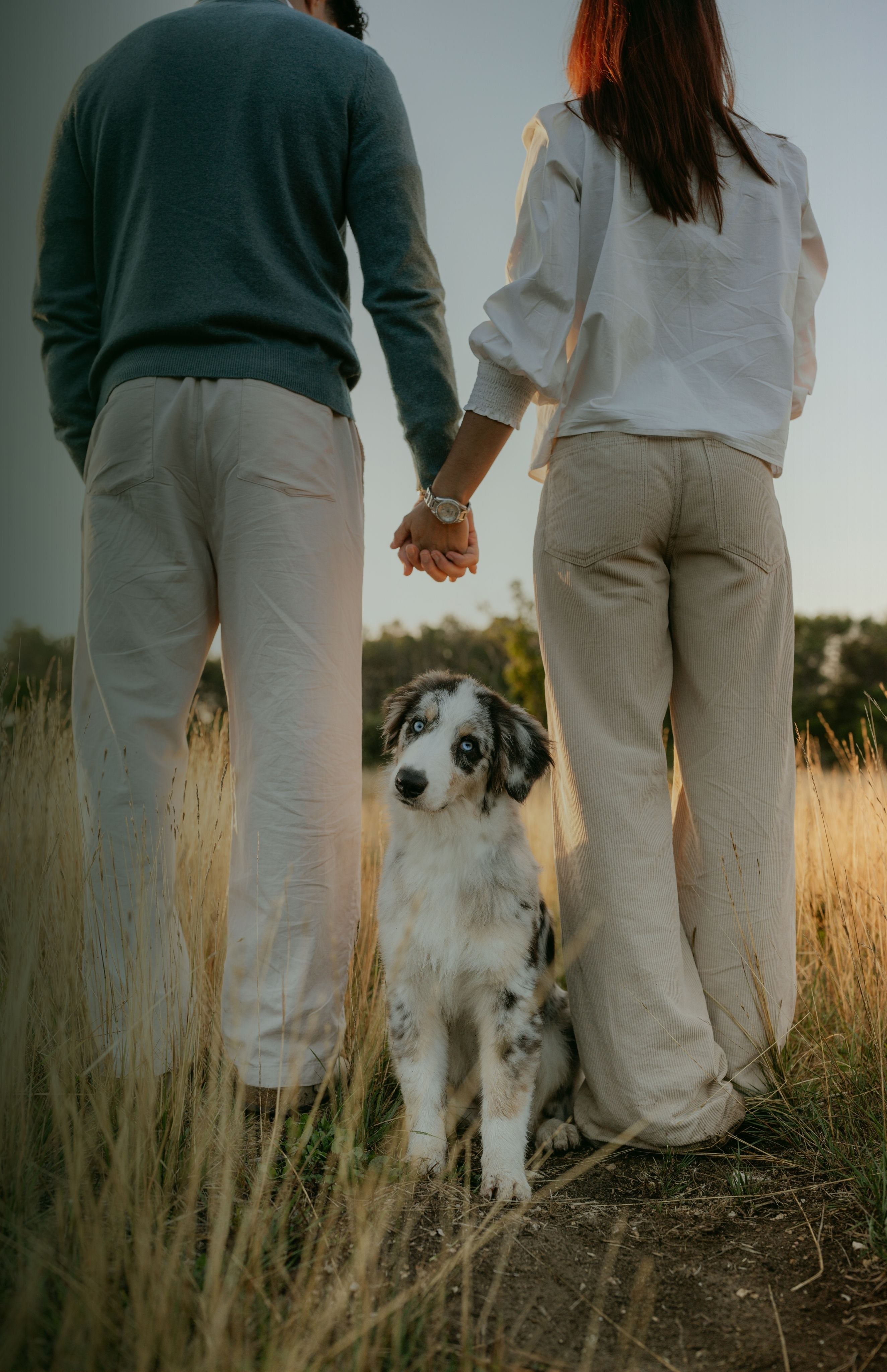 -10% sur toutes les friandises