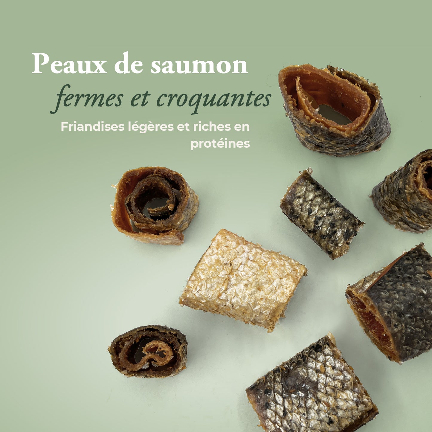 Peaux de saumon avec chair